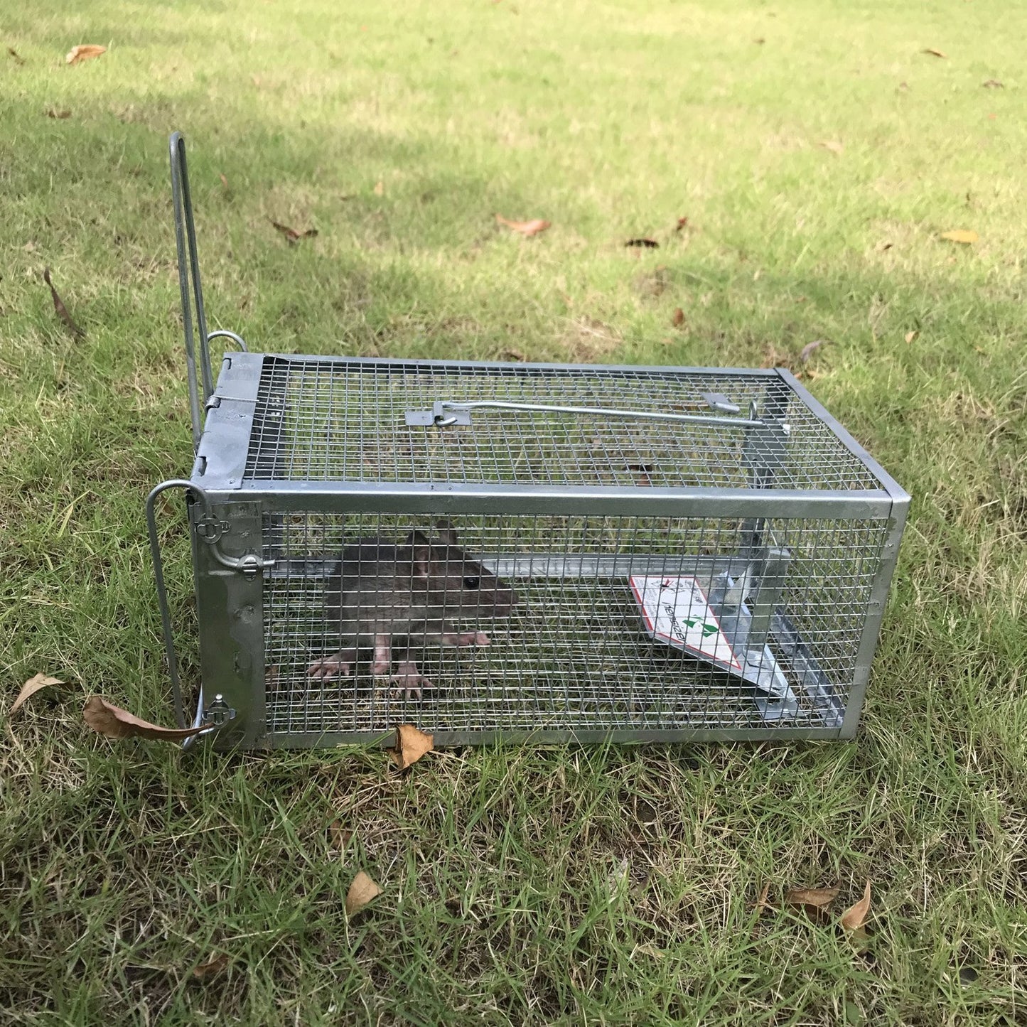 Kensizer Small Animal Humane Live Cage Rat Mouse Chipmunk Mice Voles Hamsters Trap That Work for Indoor and Outdoor, Catch and Release