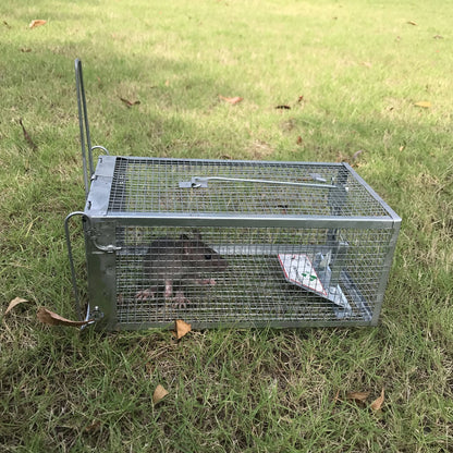 Kensizer Small Animal Humane Live Cage Rat Mouse Chipmunk Mice Voles Hamsters Trap That Work for Indoor and Outdoor, Catch and Release