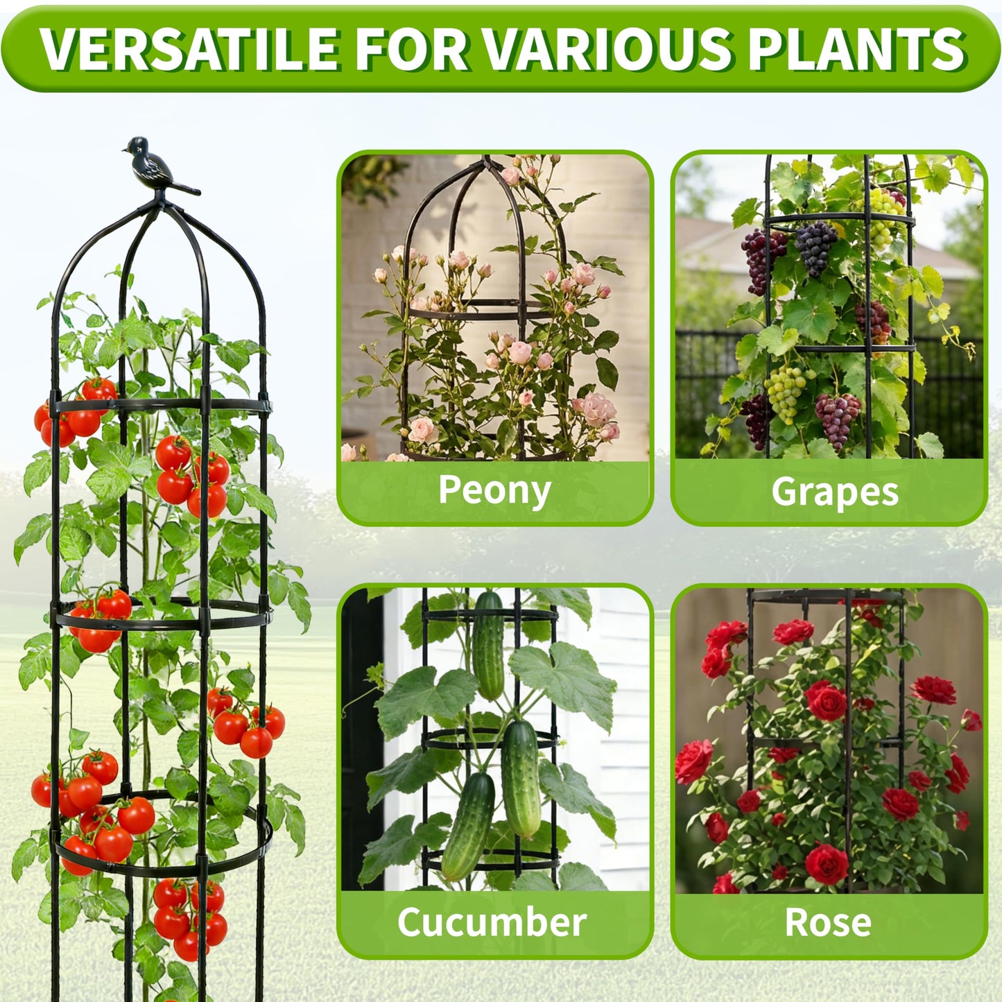 1Pack 6.7FT Garden Trellis for Climbing Plants Outdoor&Indoor, Rustproof Metal Plant Trellis, Obelisk Trellis for Vegetable, Flower, Tomato, Cucumber, Clematis, Rose, Raspberry