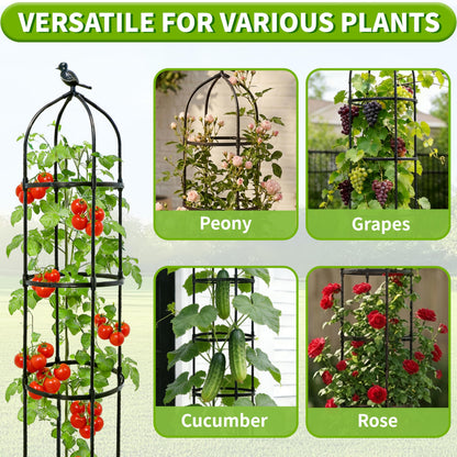 1Pack 6.7FT Garden Trellis for Climbing Plants Outdoor&Indoor, Rustproof Metal Plant Trellis, Obelisk Trellis for Vegetable, Flower, Tomato, Cucumber, Clematis, Rose, Raspberry