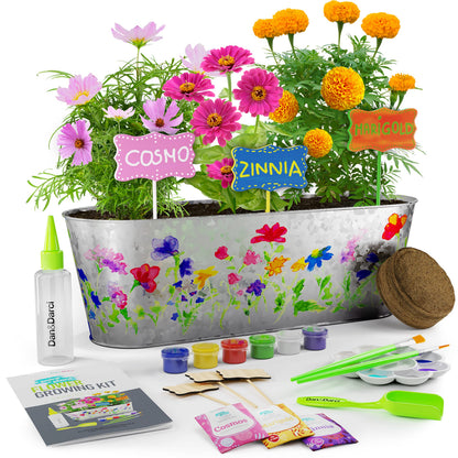 Paint & Plant Flower Growing Kit - Kids Gardening Science Easter Gifts for Girls and Boys Ages 6 7 8 9 10 Years Old - STEM Arts & Crafts Project Activity - Grow Your Own Cosmos, Zinnia & Marigold Garden