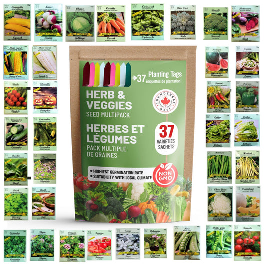 THUNDERBAY-GBSE Vegetable & Herb Seed Variety Pack of 37 Heirloom Sachets Approx. 5200 Seeds(100% Non GMO,37 Individually Packed Sachets, 37 Planting Tags) 37 sachets d'herbes et de légumes