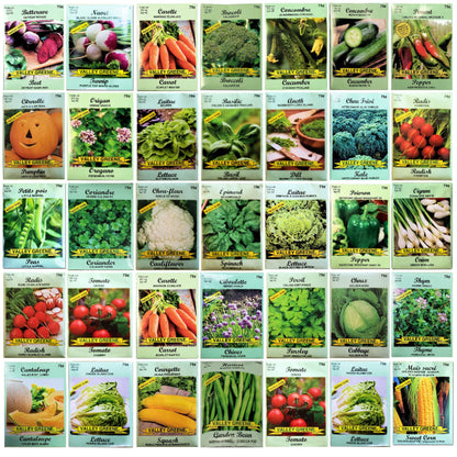 PZ 35+2 Packs Vegetable & Herb Seeds, Heirloom Seeds Packets + 37 Tags Over 6000 +Seeds 100% Non-GMO. Sachets de graines potagères (35+2)