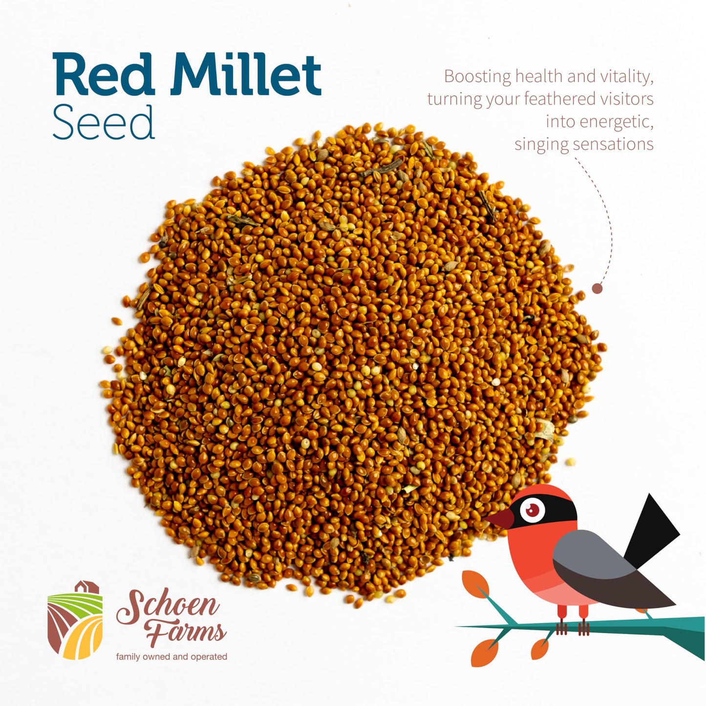 Schoen Farms Red Millet Bird Seed – 2.27 kg Bag – Natural Grain for Cardinals, Chickadees, Woodpeckers & Songbirds – Canadian Grown