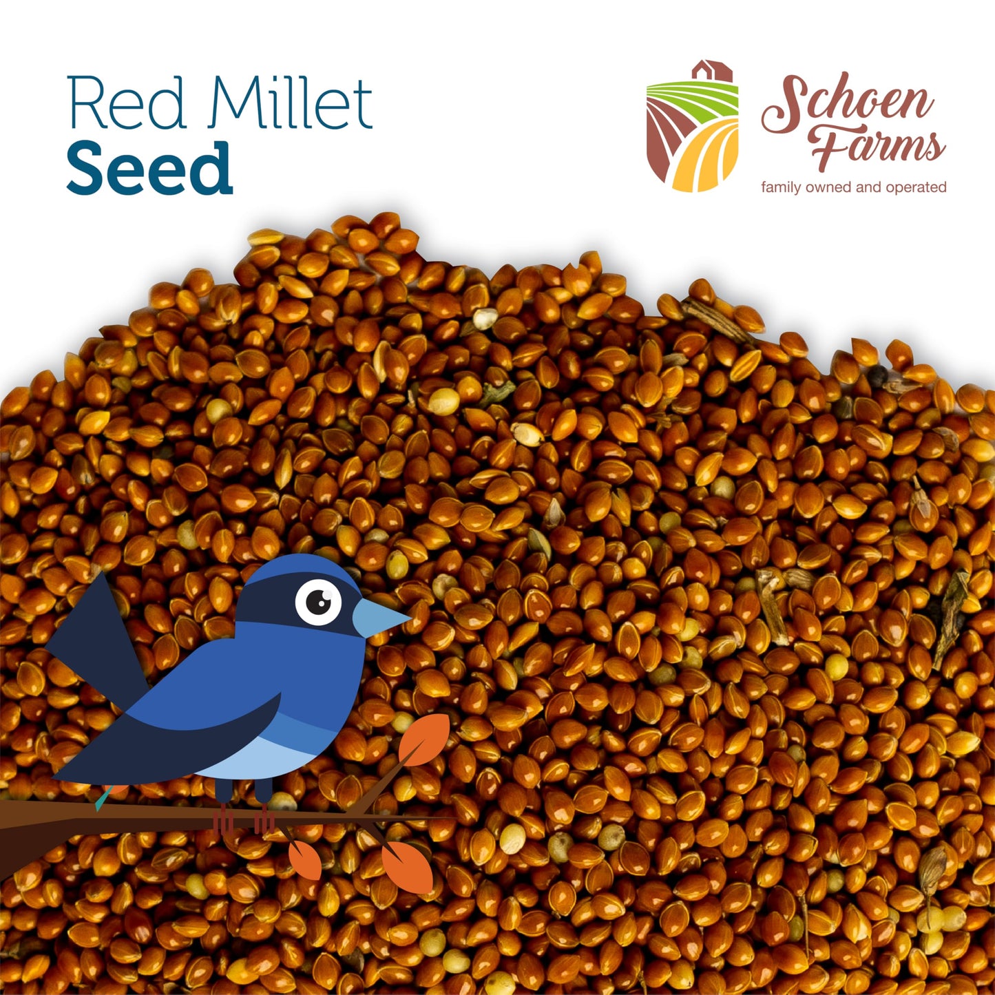 Schoen Farms Red Millet Bird Seed – 2.27 kg Bag – Natural Grain for Cardinals, Chickadees, Woodpeckers & Songbirds – Canadian Grown