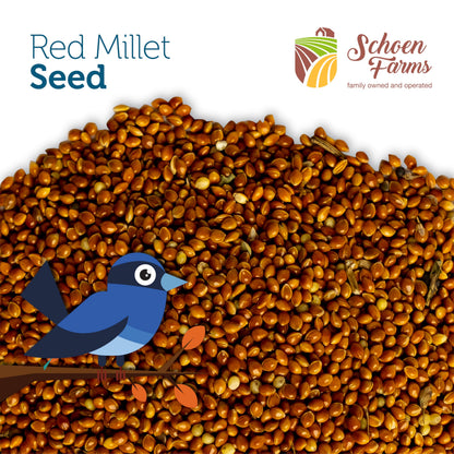 Schoen Farms Red Millet Bird Seed – 2.27 kg Bag – Natural Grain for Cardinals, Chickadees, Woodpeckers & Songbirds – Canadian Grown
